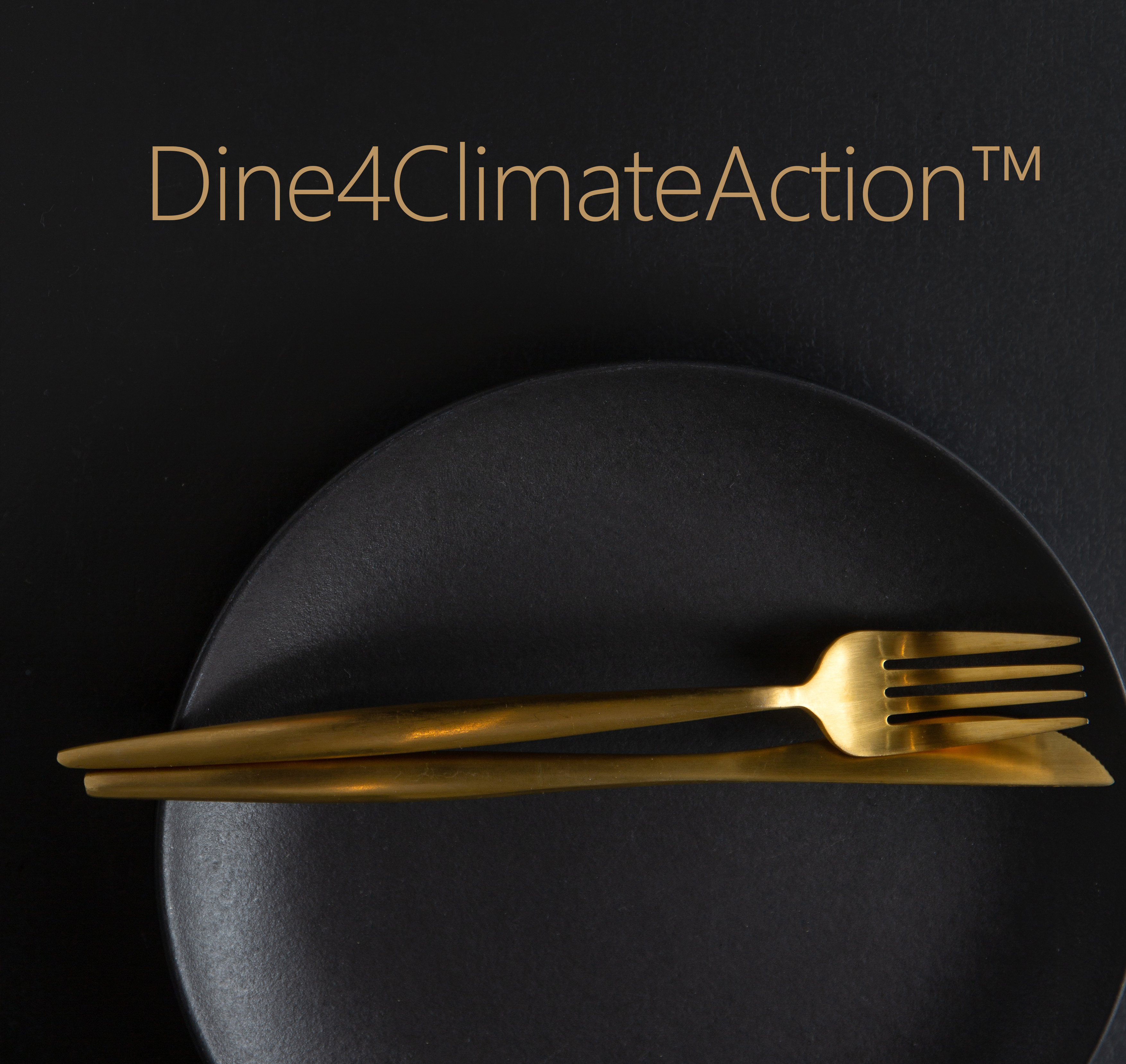 ></span><span class=